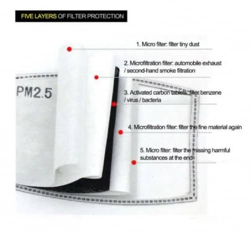 Filtre PM2.5 pour masque Ozarm
